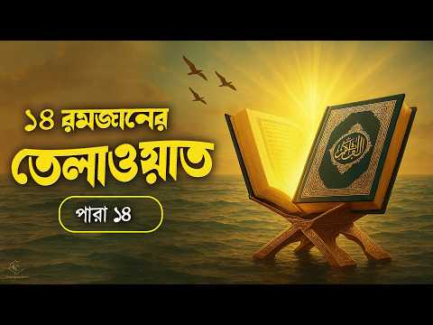 ১৪ রমজানের ১৪ নম্বর পারার সম্পূর্ণ তেলাওয়াত | 14th Ramadan Para 14 Emotional Quran Tilawat