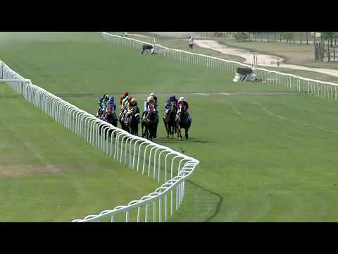 2019.07.21. 03. futam - TÍZEK TÁRSASÁGA HENDIKEP (IV.o.)