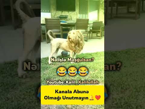 Kanala abunə olmağı unutmayın #keşfetbeniöneçıkar