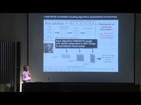 16 James J. DiCarlo @ Shitsukan Symposium, Tokyo. July 2014