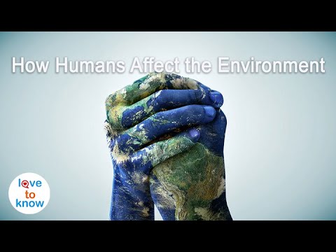 YouTube video about Unraveling How Our Actions Affect the Environment
