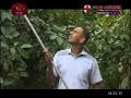 mihikaha-dinuwo-07-06-2019