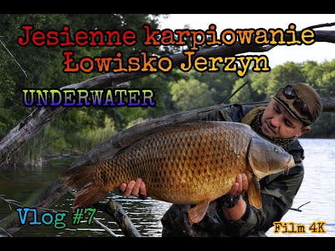 Łowisko JERZYN - Jesienne karpie - UNDERWATER -  Film 4K