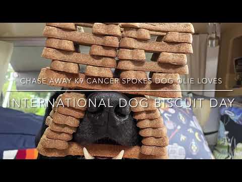 Olie loves International Dog Biscuit Day