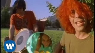 The Flaming Lips - She Don't Use Jelly video