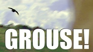 Fieldsports Britain : Grouseshooting, rabbits with Roy Lupton and pigeons (episode 143)