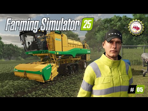 🚜Farming Simulator 25🚜 — Время ГОРОХА❗ | НОВЫЙ комбайн - OXBO EPD540E | НУЖЕН Лес❗ #05 🧑‍🌾🌲