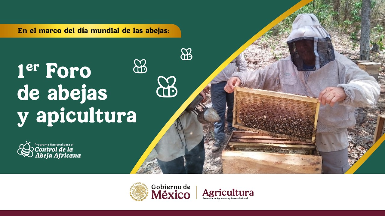 1° Foro de abejas y apicultura