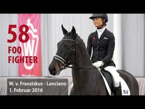 58 Foo Fighter Wallach v. Franziskus - Lanciano