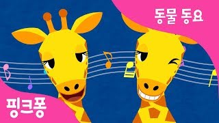 길쭉길쭉 기린 | 기린송 |  동물 동요 | 핑크퐁! 인기동요