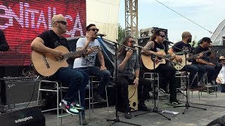 Genitallica PalNorte - Qué fue lo que pasó?