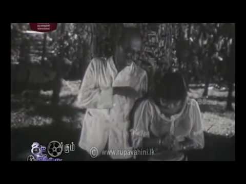 Bak Mahatai Goda Wassa Wahinne