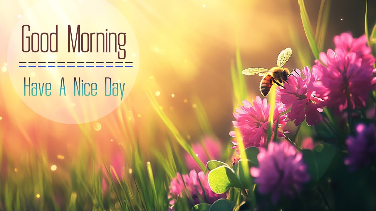 PEACEFUL MORNING MUSIC - Wake Up Happy & Relaxation - Morning Meditation Music For Positive Energy