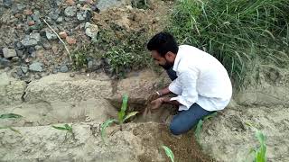 preview picture of video 'EcoSikh Barnala'