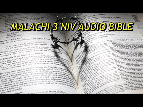 MALACHI 3 NIV AUDIO BIBLE(with text)