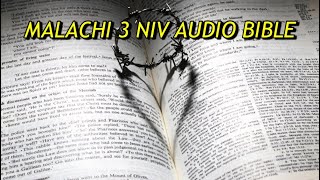 MALACHI 3 NIV AUDIO BIBLE(with text)