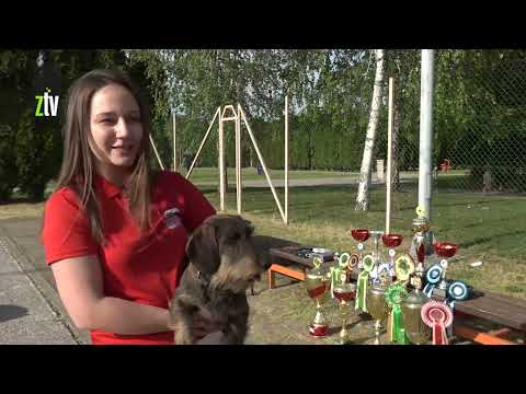 Iva Petrović Đorđević i njeni šampioni