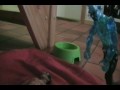 Action Man The Movie Part 1
