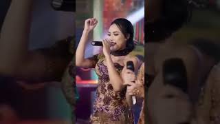 Download lagu numpak RX King Trio macan dan syahiba #viral #laguviral #shortvideo #koplo #yearofyou #shorts mp3