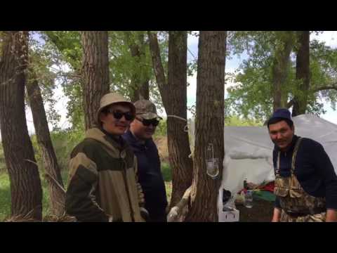 Рыбалка в реке Орь