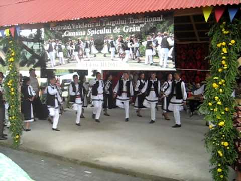 01 - Craiesti Mures - 31 iulie 2011 - Cununa spicului de grau - MVI_2889.AVI