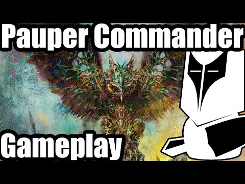 PDH Bear's Companion | Baleful Strix | Gilanra + Brinelin  | Mischievous Catgeist