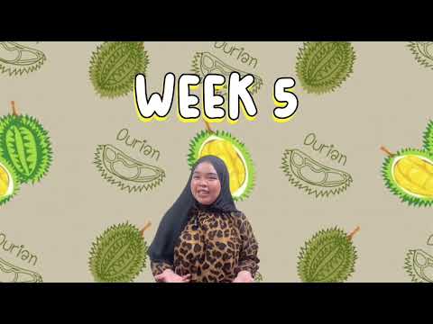 DGM541 - SULAM CHAMFRUITS