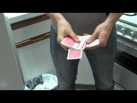 Day 117—Trained Playing Cards