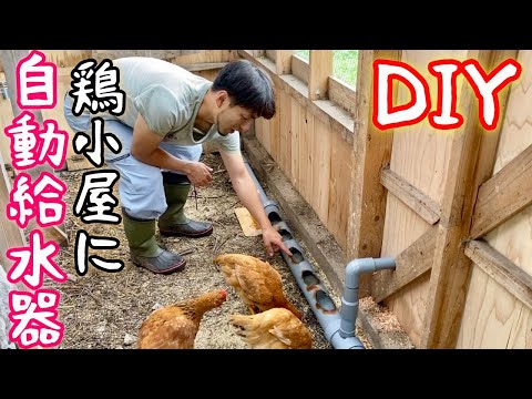 冬に雨が降ったときは鶏を屋内に入れるべきでしょうか？鶏小屋を雨から守るための 4 つの重要なヒント  庭園