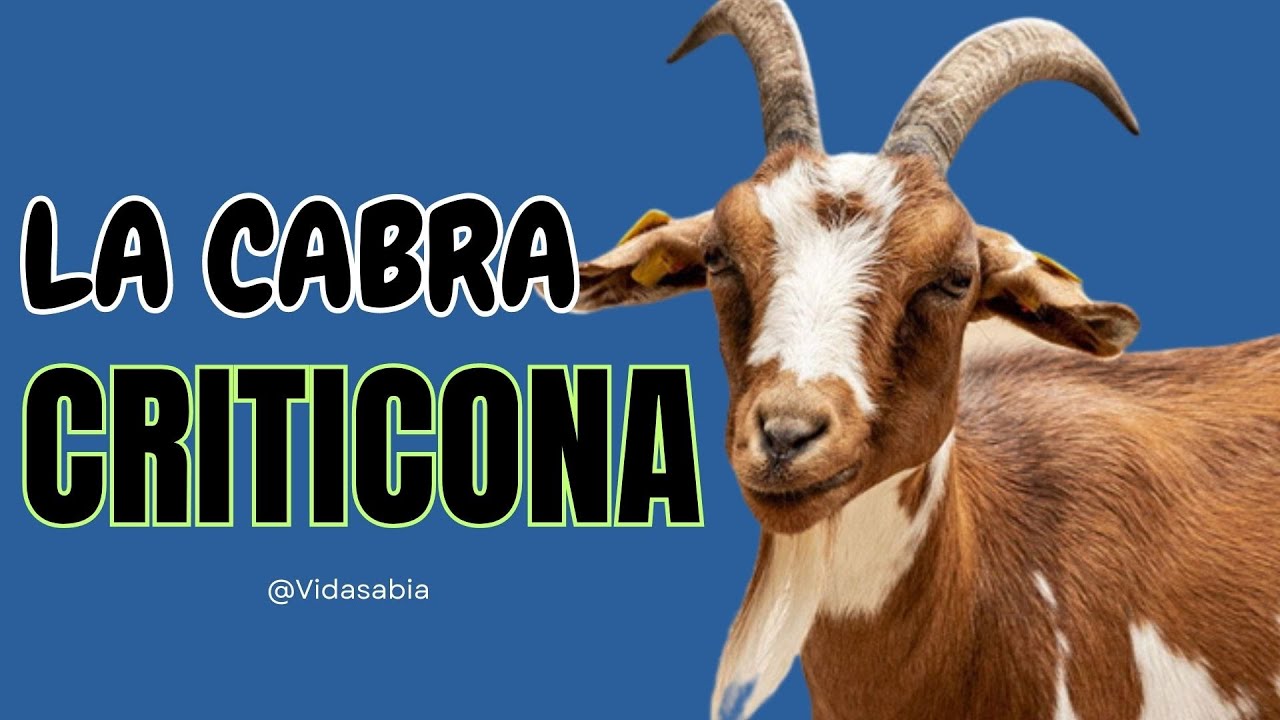 LA CABRA CRITICONA UNA HISTORIA PARA REFLEXIONAR