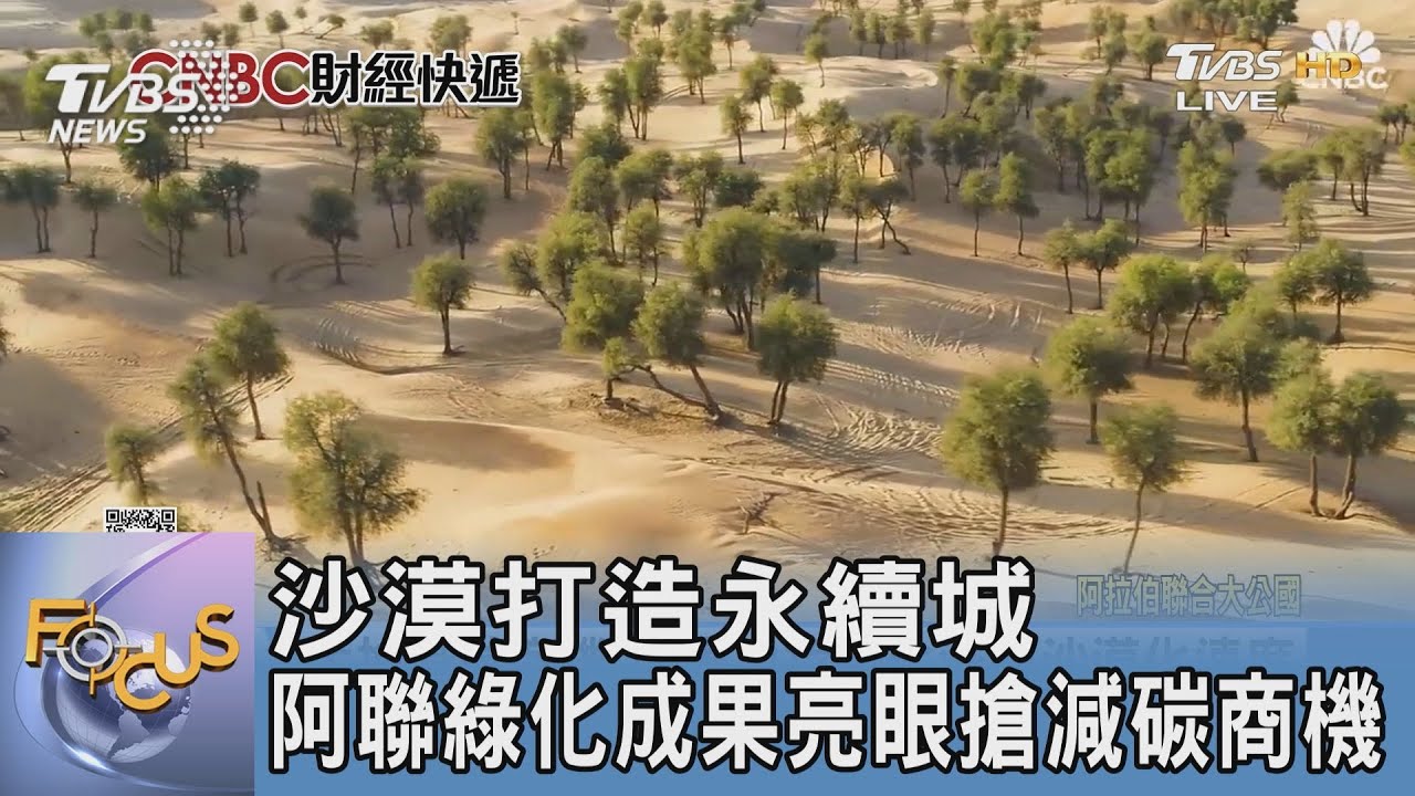 沙漠打造永續城 阿聯綠化成果亮眼搶減碳商機
