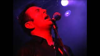Joe Strummer &amp; The Mescaleros - Harder They Come (Live)