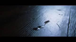 Alex &amp; Sierra - Little Do You Know (Annie LeBlanc &amp; Hayden Summerall Cover)