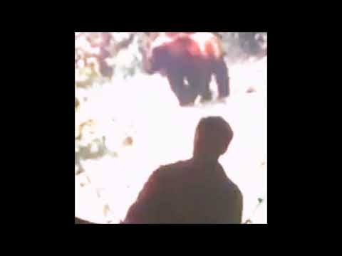 04. kodyak - trying, i promise