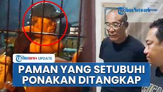 Detik-detik Penangkapan Paman di Sorong yang Setubuhi Ponakan hingga Hamil, Akui Kerap Ancam Korban
