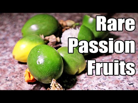 Rare PASSIONFRUITS in Africa - Weird Fruit Explorer in The Seychelles & Ethiopia