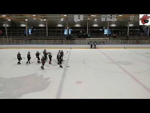 Jää-Ahmat/Red - Pelicans Turkoosi 2