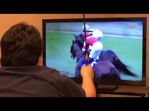 2019.11.24   ジャパンカップ　スワーヴリチャード