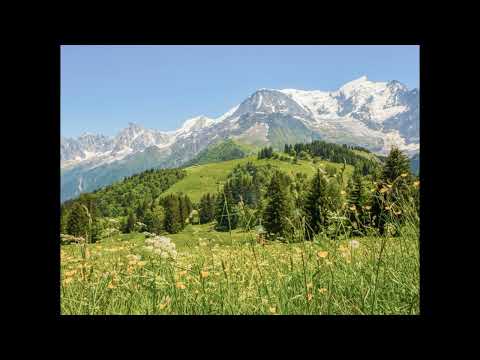 D-Emotion Project feat Stefka Sabotinova - Pritouritze Planinata