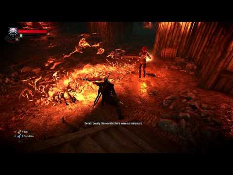 Let's Play Witcher 3 The Wild Hunt Pt. 109