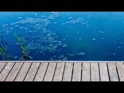 AngelPlatz Gutschein einlösen auf gutscheine.de
