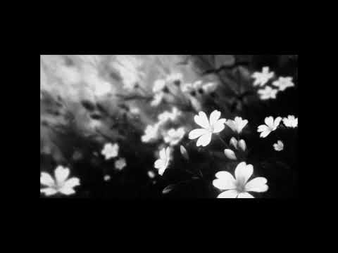 (FREE) SAD Lund x poorstacy x wubz Type Beat - "ivory tongue"