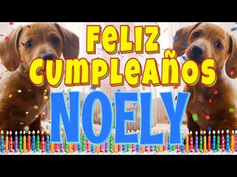 ¡Feliz Cumpleaños Noely! (Perros hablando gracioso) ¡Muchas Felicidades Noely!
