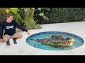TRAPPING THE POOL MONSTERS