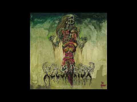 Fleshrot - Unburied Corpse (Full Album, 2022)