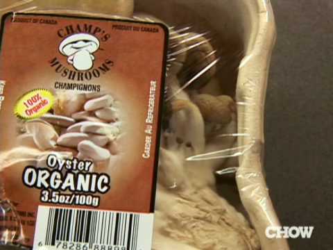 Oyster Mushroom Guidelines - CHOW Tip