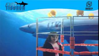 DIA 2 Expo Tiburon108