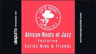 African Roots Of Jazz - The Healer Don't Break (Spaceways Radio Edit)