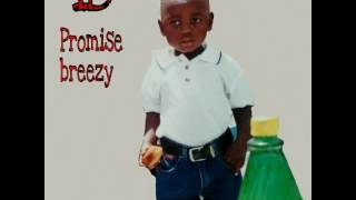 Promise breezy