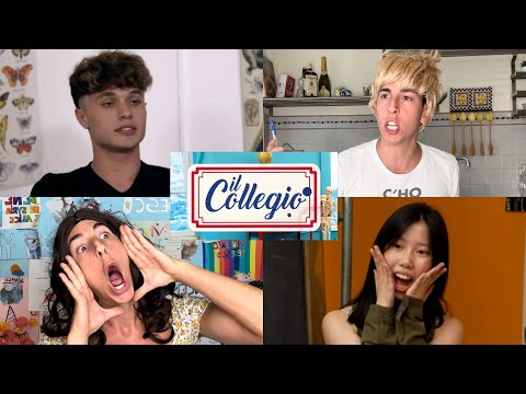 REACTION PROVINI DEL COLLEGIO 8 !